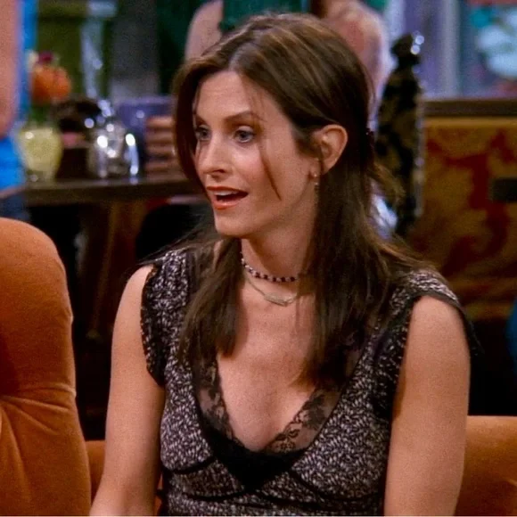 Vintage Dress ASO Monica Geller on Friends - Picture 10 of 16